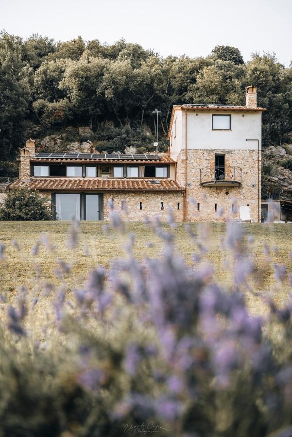 La Casa Del Tartufo Apartment Torri in Sabina Exterior photo